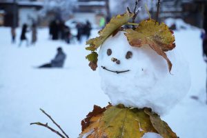 برف بازی گلشهری‌ها در محله ثامن &raquo; پایگاه خبری پورسینا